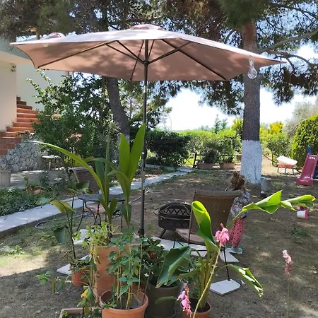 펜션 House Under The Pines Next To The Sea *
