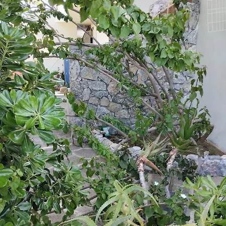House Under The Pines Next To The Sea 펜션 *