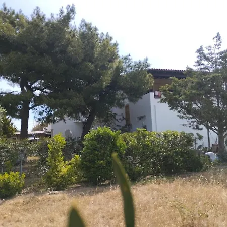 House Under The Pines Next To The Sea 펜션 *