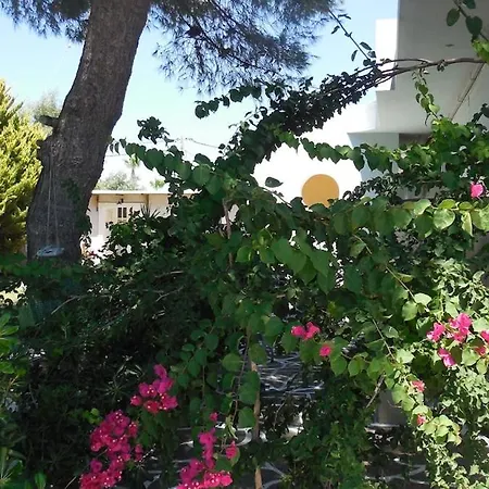 펜션 House Under The Pines Next To The Sea Mesokhórion