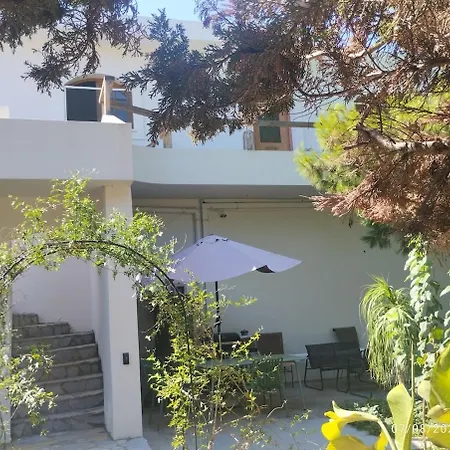 House Under The Pines Next To The Sea *